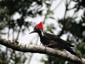 Santa Maria Volcano Lodge Hotel & Restaurante
