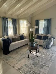 Stush Living - Steer Town