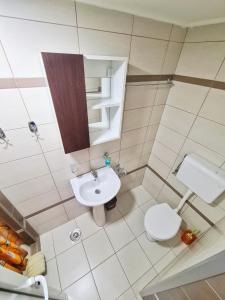 Vila Aleksandra 2 Studio 2