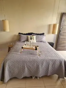 Pitaia casa para temporada - 佩内杜