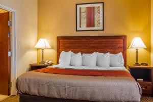 King Suite with Sofa Bed - Non-Smoking room in MainStay Suites Grand Island