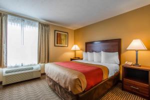 Queen Suite with Sofa Bed - Non-Smoking room in MainStay Suites Grand Island