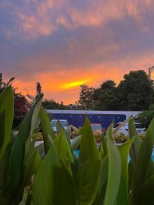 Tropical Doña Mayra apartahotel