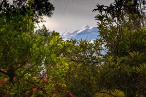 Casa de Campo en la Campiña de Caraz