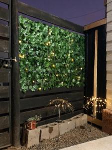 Cabaña Camino a Matanzas En Navidad