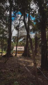 Los Delfines y La Natura Lodge & Expeditions