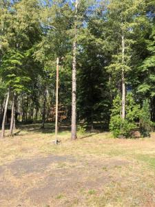 casa vista al volcan, 07 personas