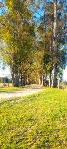 Casa Balneário Arroio do silva