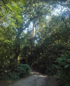 Chalé toque toque pequeno