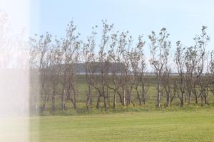 Skammidalur Guesthouse