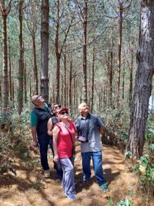 Tintaya Hotel Chachapoyas