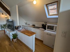 Appartements Appartement lumineux avec jardin a Montargis - FR-1-590-562 : photos des chambres