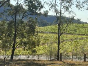 Chardonnay self contained home