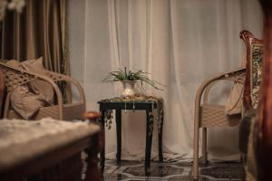 Star House City Stars