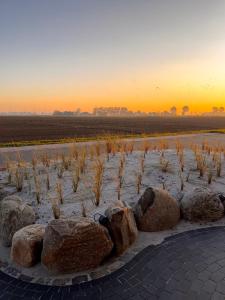 Haus Viking mit 2 Ferienwohnungen Bjorn 4 Pers und Floki 6 Pers mit Düne und Garten