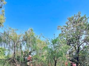1 Br Heritage Farm Stay in Gurdaspur Room 3