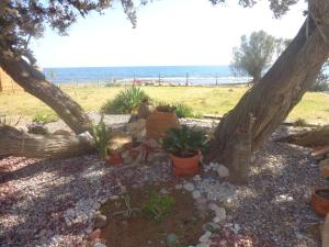 Nicholas Waves Beach Studios