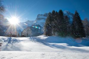 MOM - Alpine Boutique Apartments, Grindelwald gletscher, Eiger View Terrace Studio