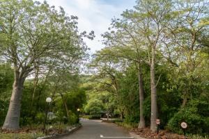 First Group Sanbonani Resort