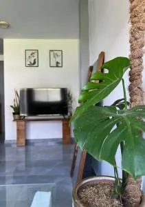 Amazon house - Daniel Alomias Robles