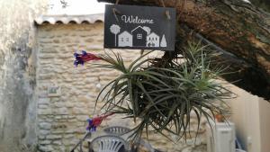 Maisons de vacances Les Gites sous l' Olivier en Camargue : photos des chambres