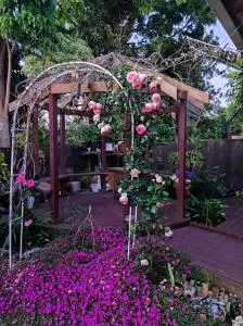 Love House - Paremoremo