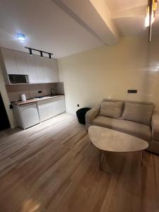X2 apartment Bakuriani