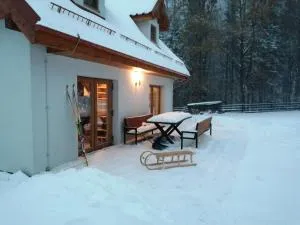 Domek w Górach Sowich - Kamionk