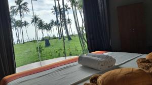 Coconut Tree hill Rekawa