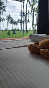 Coconut Tree hill Rekawa