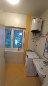 Apartment Zsa Zsa Zenta 1