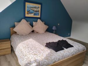 Maisons de vacances TY MA ZUD KOZH : photos des chambres