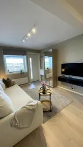 Modern studio apartment near cabelcar, sherpa stairs and the mountain - Trondalen