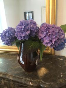 Charmant appartement ancien, lit 160