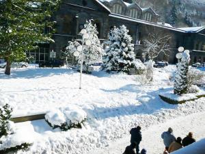 Appartements Marie locations coeur village : Appartement 1 Chambre - Vue sur Jardin