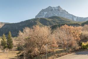 Appartements Les Lagopedes - Charmant T2 entre lac et montagne : Appartement 1 Chambre