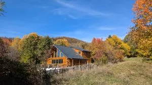 Chalet Ursa Mare - 莫罗埃尼