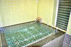 Multipurpose hall, with hot spring!