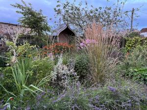 Spacious Somerset cottage - great rural location