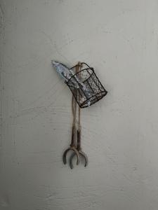 Spacious Somerset cottage - great rural location