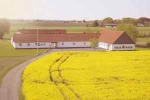 Entire holiday home - Slagelse