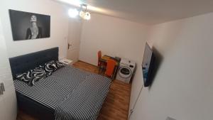 Nicole Magic Apartment- Timișoara