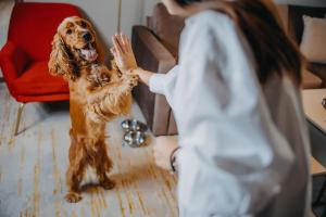 Five Seasons Szklarska Poręba