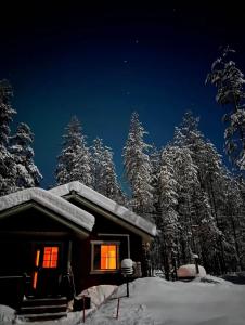 Lomanaamanka Naava-hirsimökki