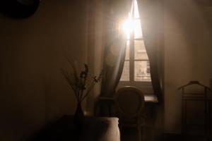 Hotels Dependance Chateau de saint Saturnin sur Loire : photos des chambres