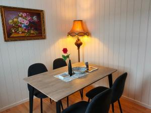Trysil sentrum leilighet