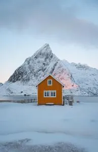 The Famous Yellow House - 雷讷