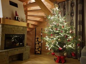 Świerkówka - Dom z Bali