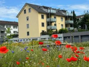 Luxury Sunrise Terrace, 4,5 Rooms FR-22 - Opfikon