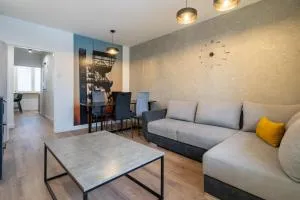 Spodek Homely Apartment - Kattowice-Ost